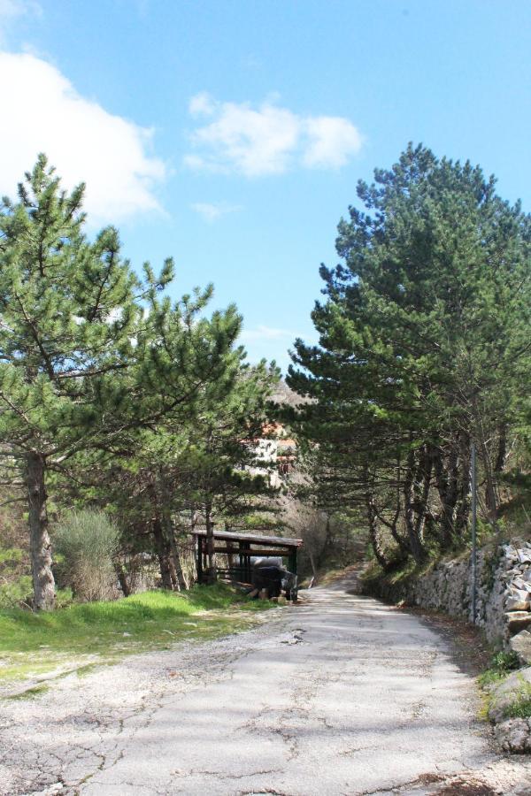 Mini Stone House Villa Omiš Eksteriør billede
